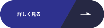 詳しく見る