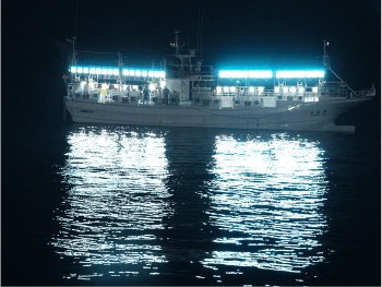 LED 集魚灯